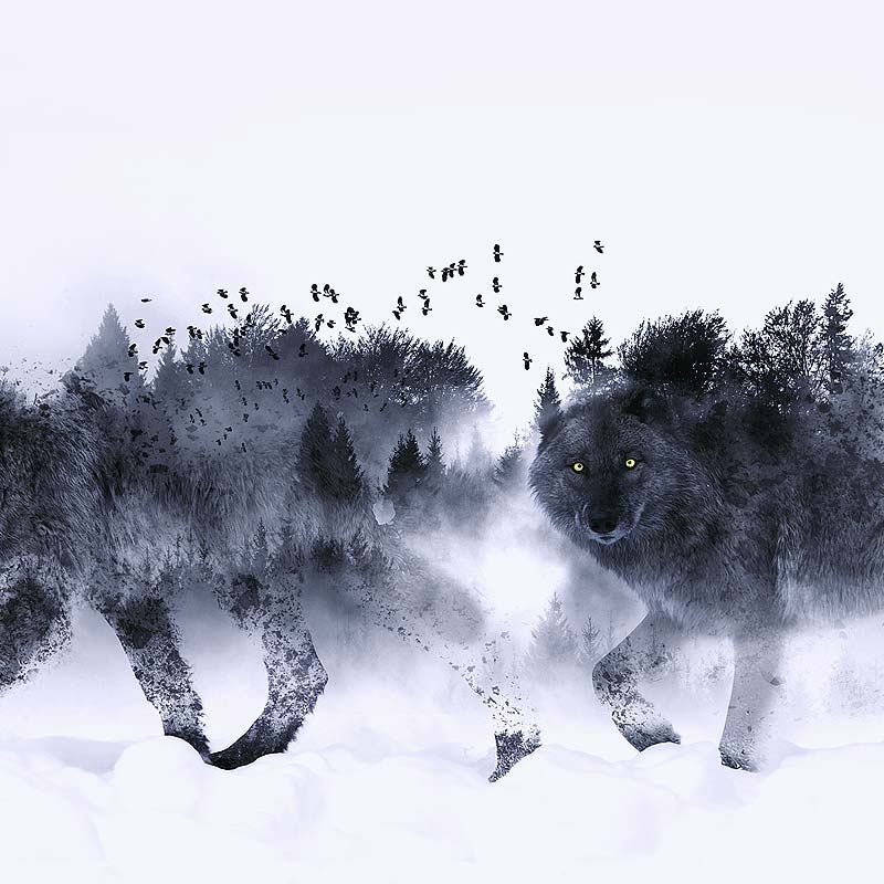 arte digitale Milano